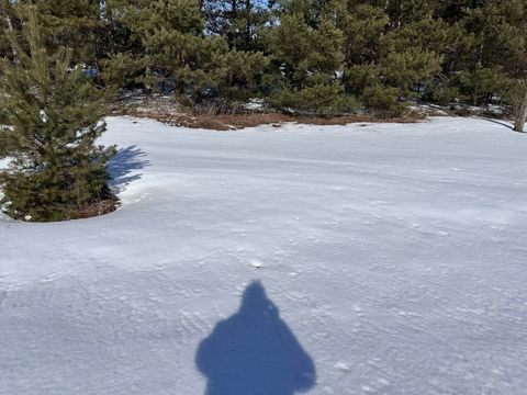 Honor Highway Inland Township MI 49643