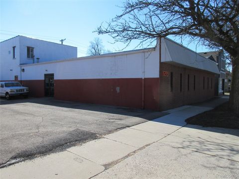 1219 Eureka Avenue Wyandotte City MI 48192