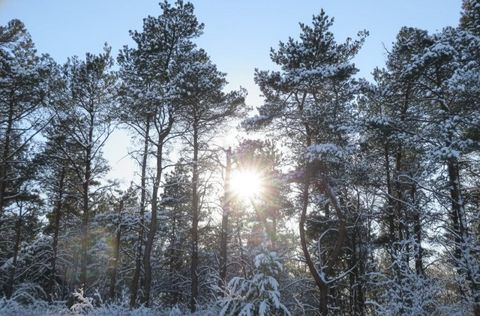 Parcel F-3 N 2 1/2 Road Hanover Township MI 49620