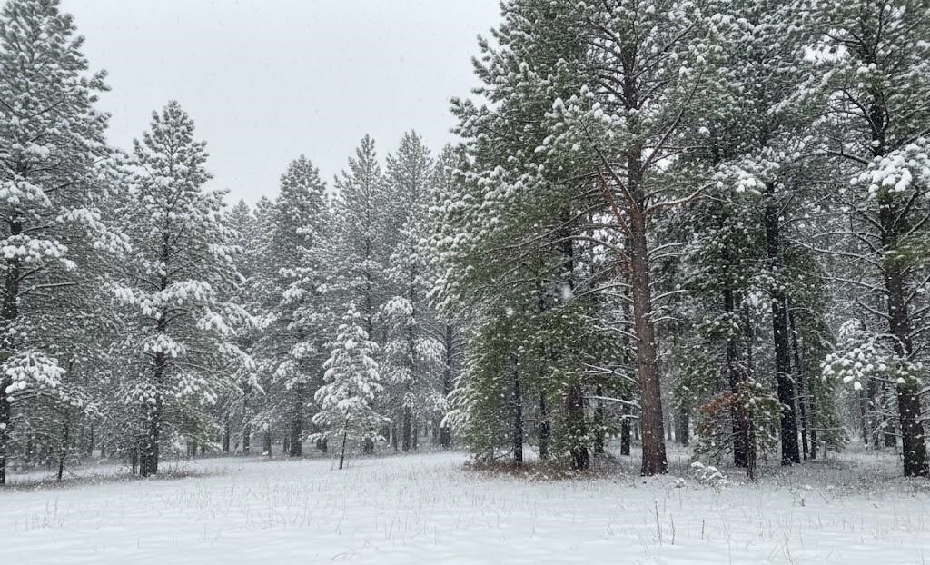 Parcel F-3 N 2 1/2 Road