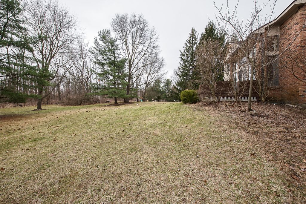 listing image 75