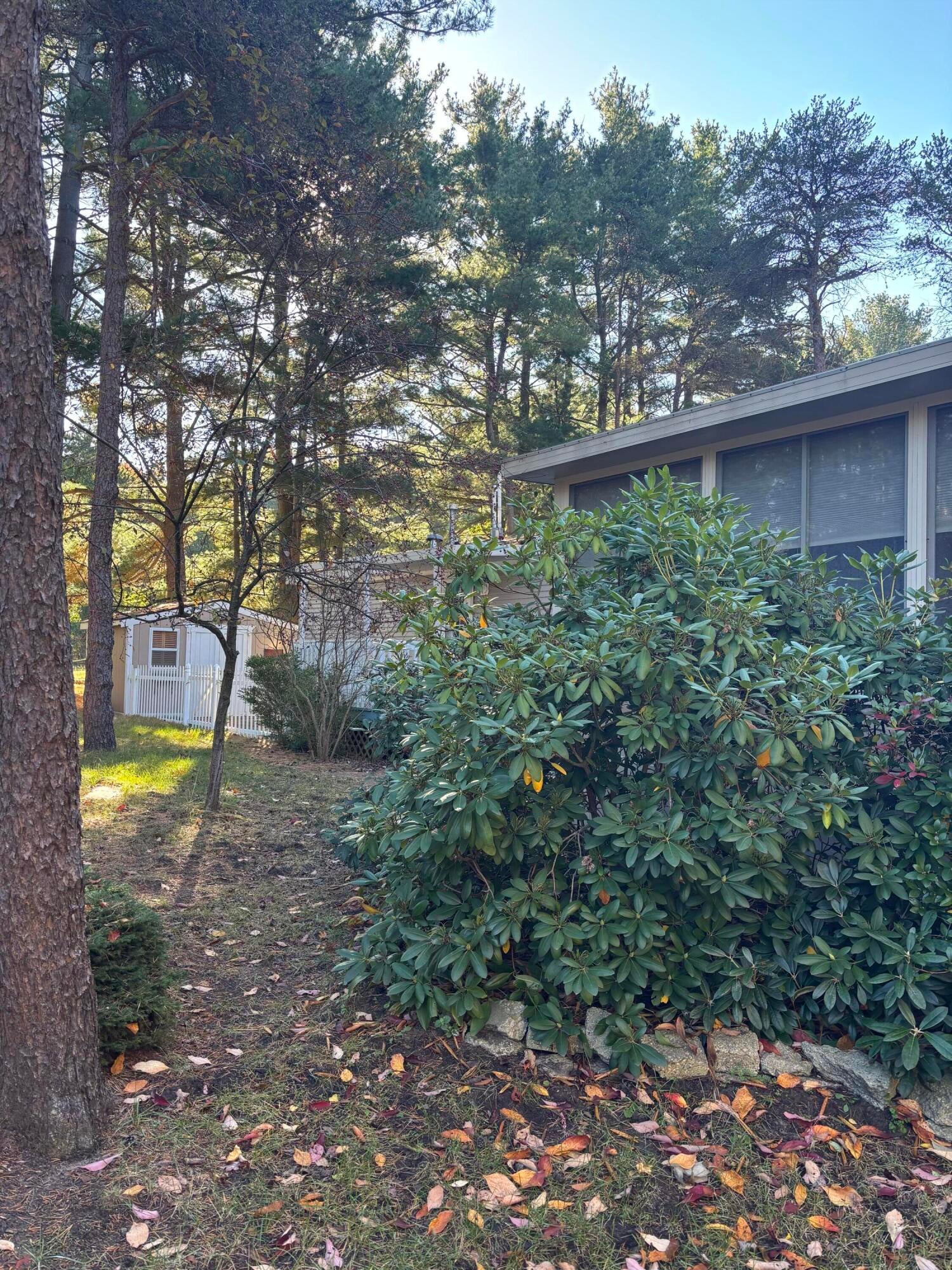 6858 Maple Lane