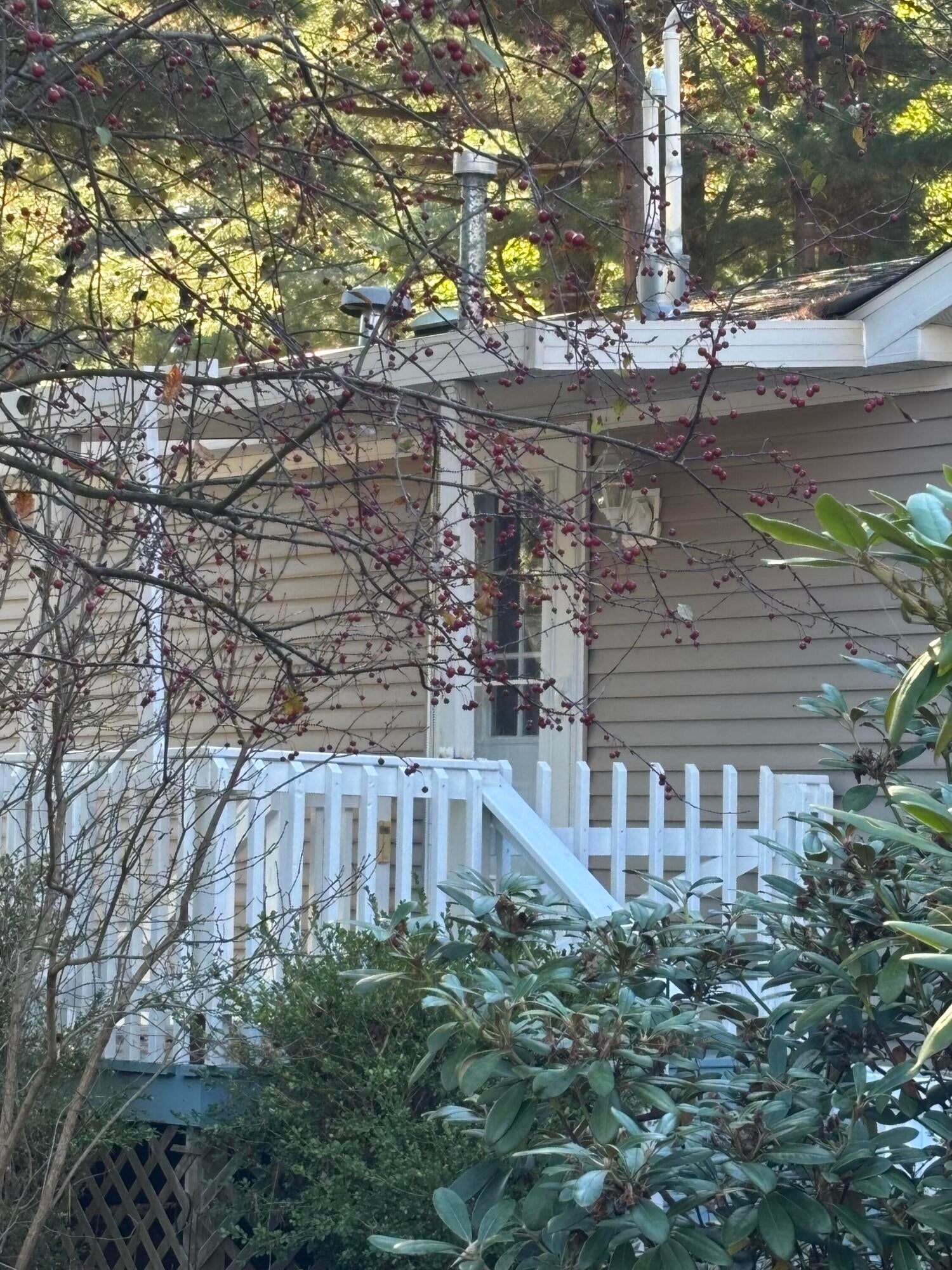 6858 Maple Lane
