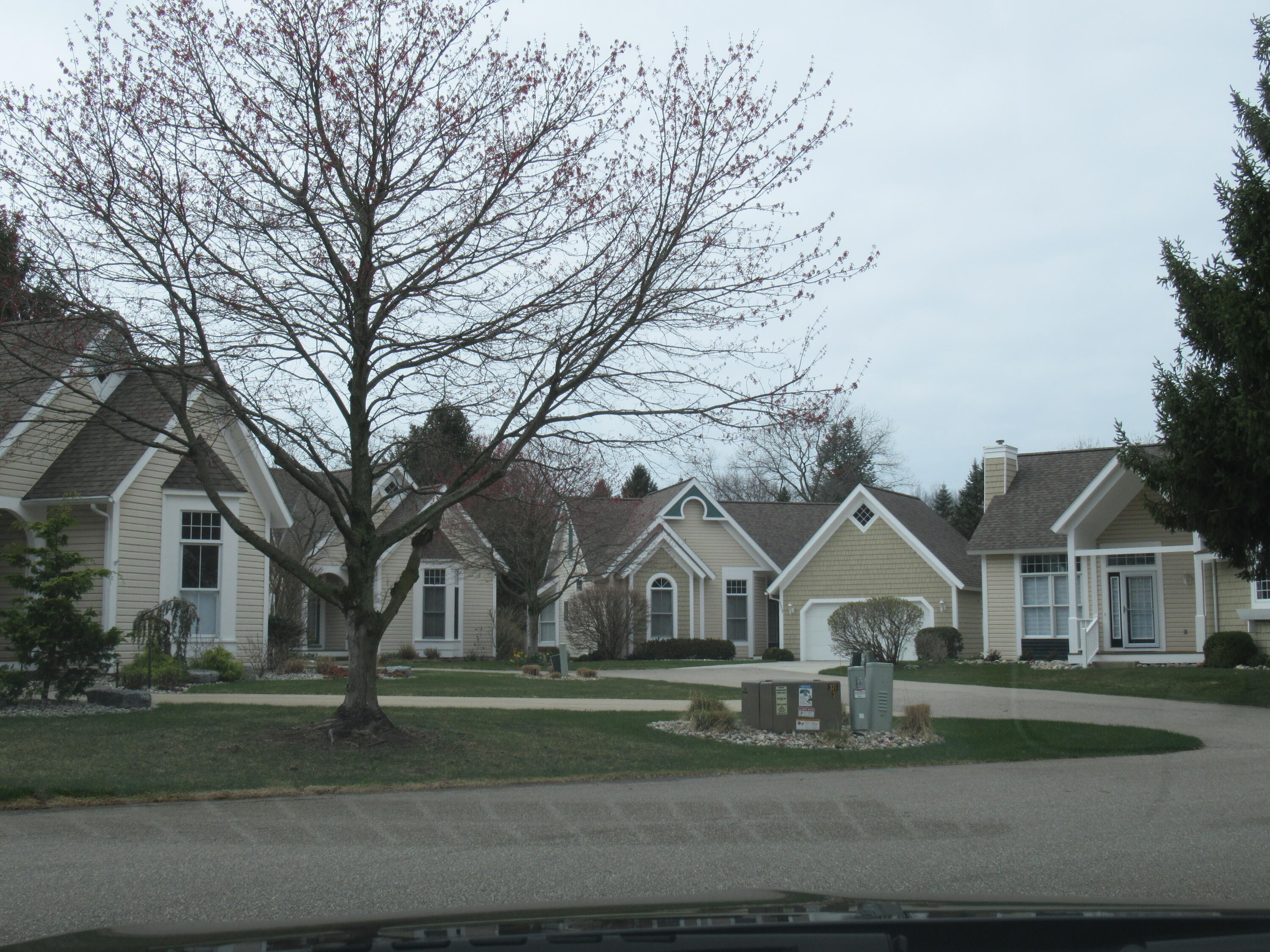 982 Sunflower Court 19