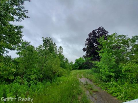 4125 FLINT Road Brighton Township MI 48114