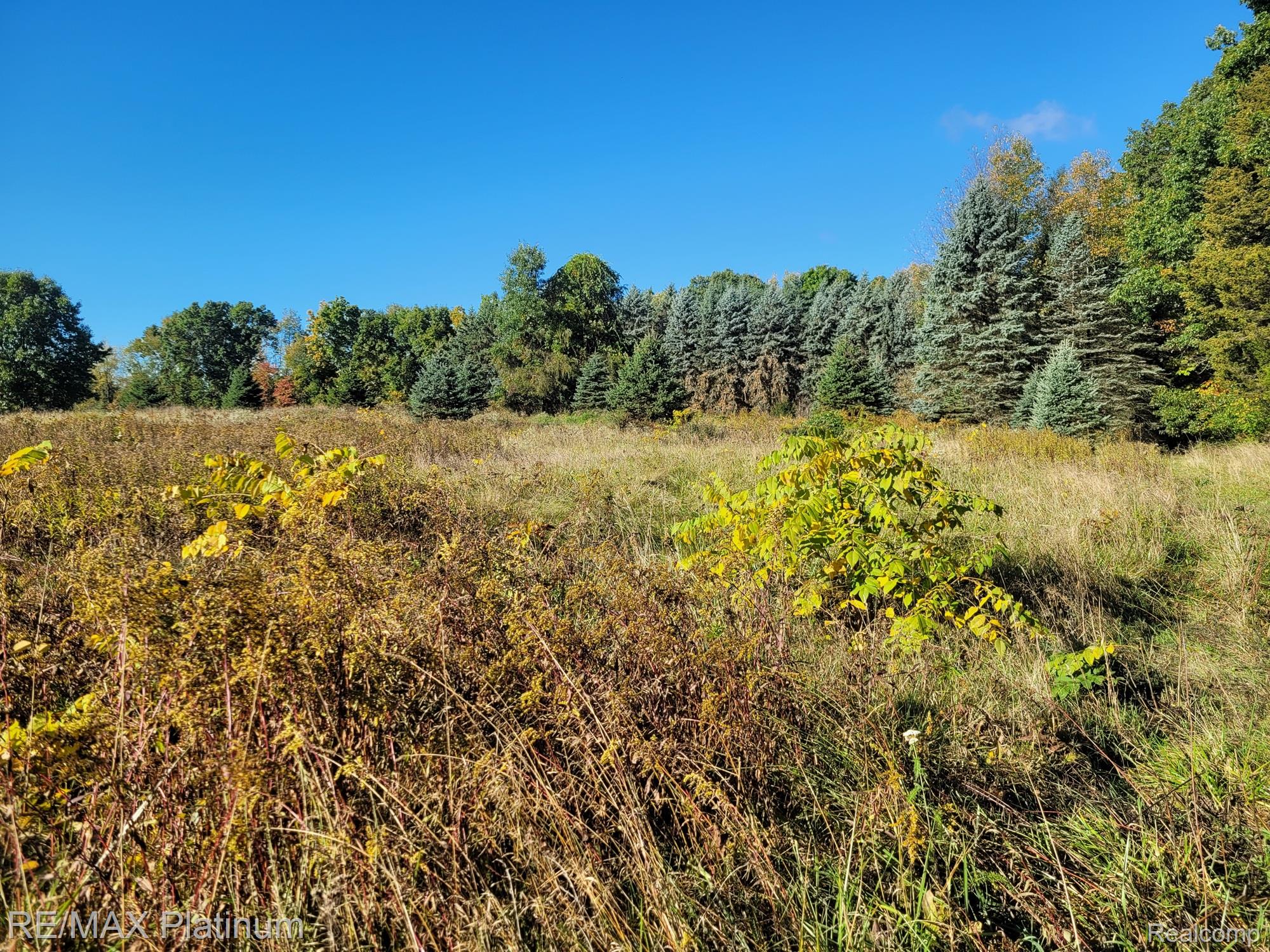 Parc B Tipsico Lake Road