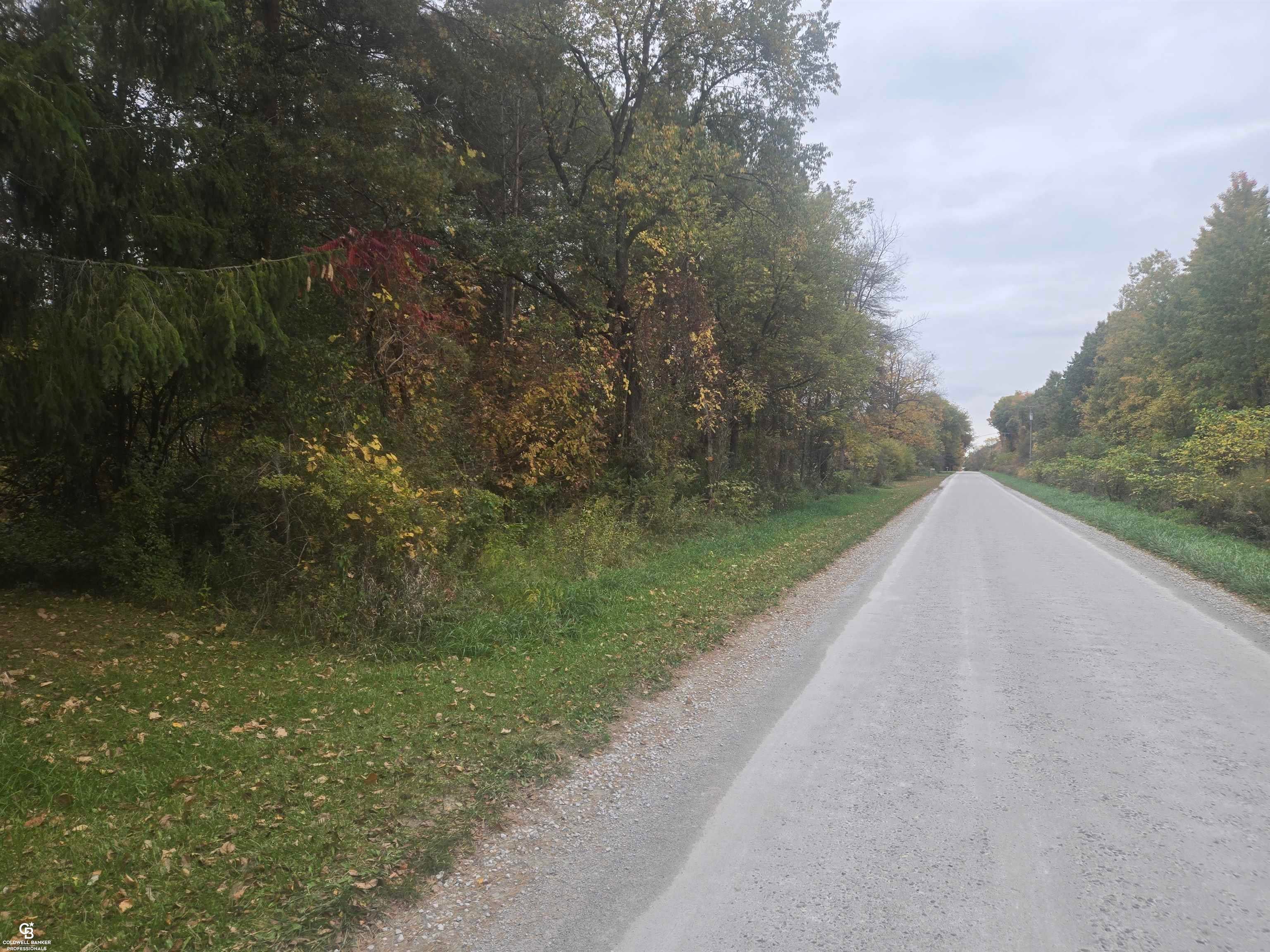 00 Brown VL Road