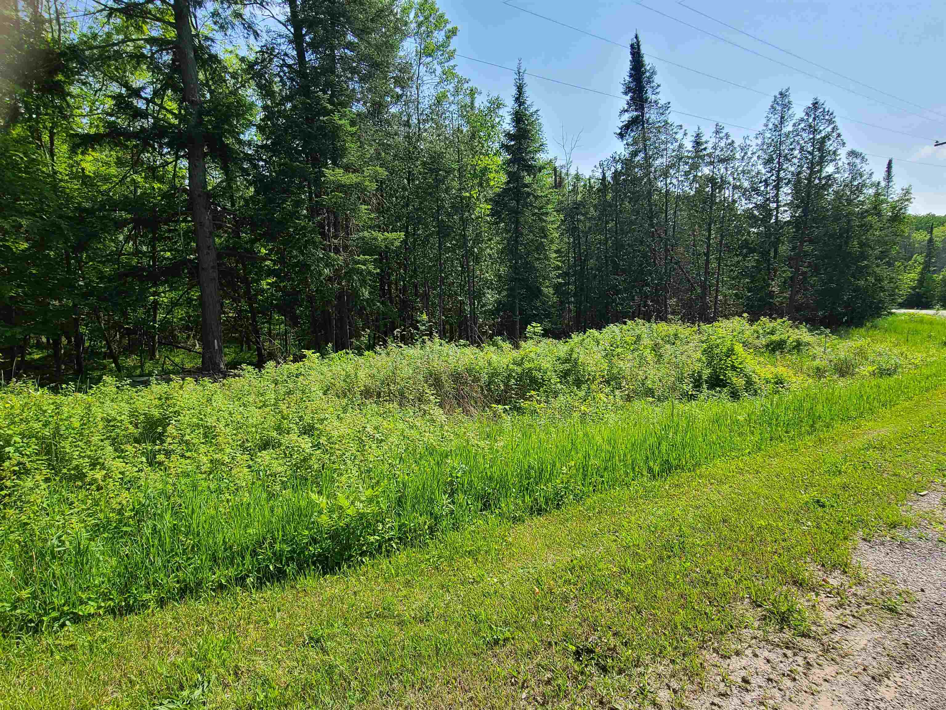 1281 W Trask Lake Road