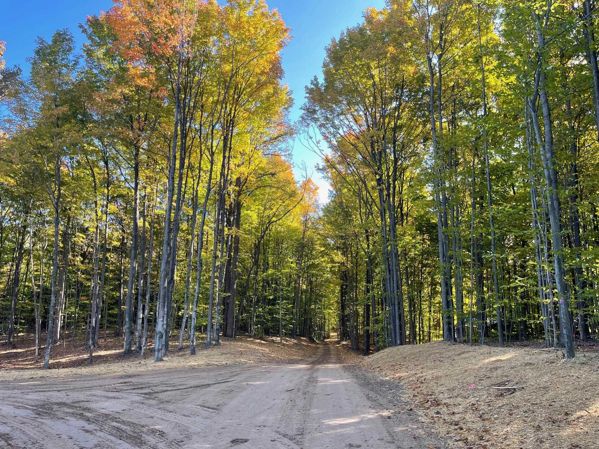 5593 SW Old Oak Trail