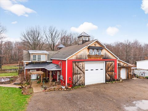 3457 138th Avenue Salem Township MI 49419