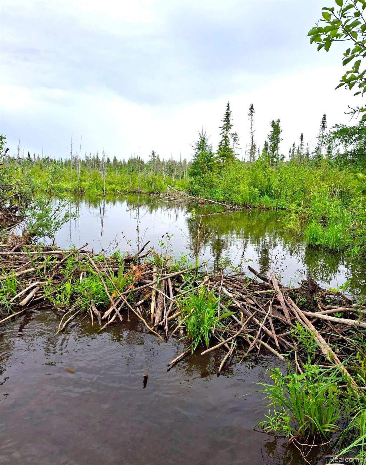 Hulbert Township, Michigan 49748, United States, ,Land,Active,162085
