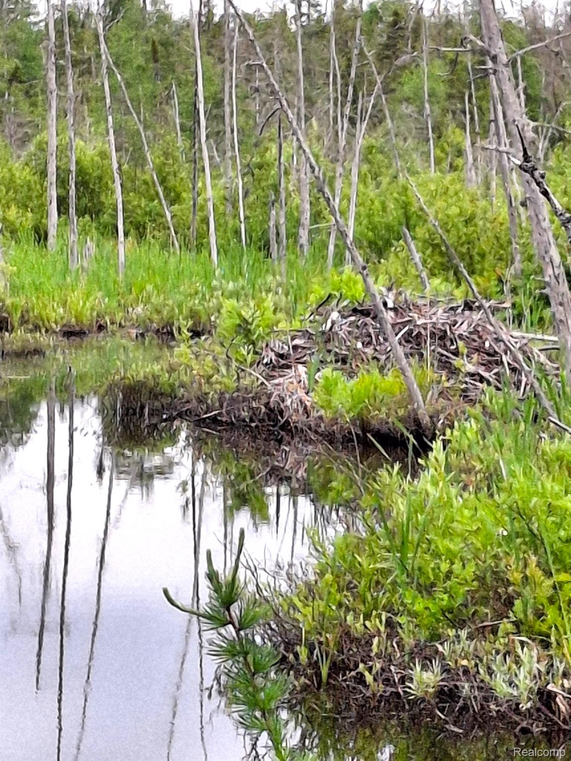 Hulbert Township, Michigan 49748, United States, ,Land,Active,162085