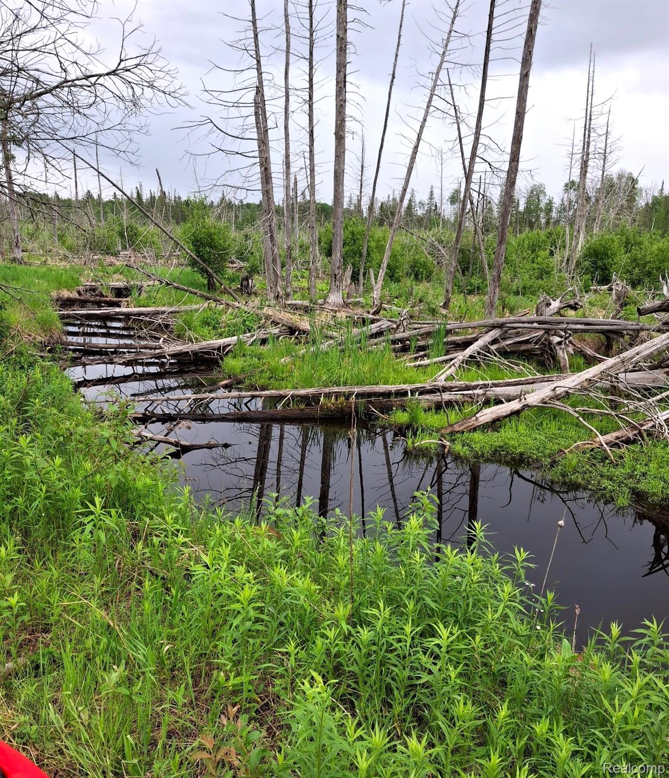 Hulbert Township, Michigan 49748, United States, ,Land,Active,162085