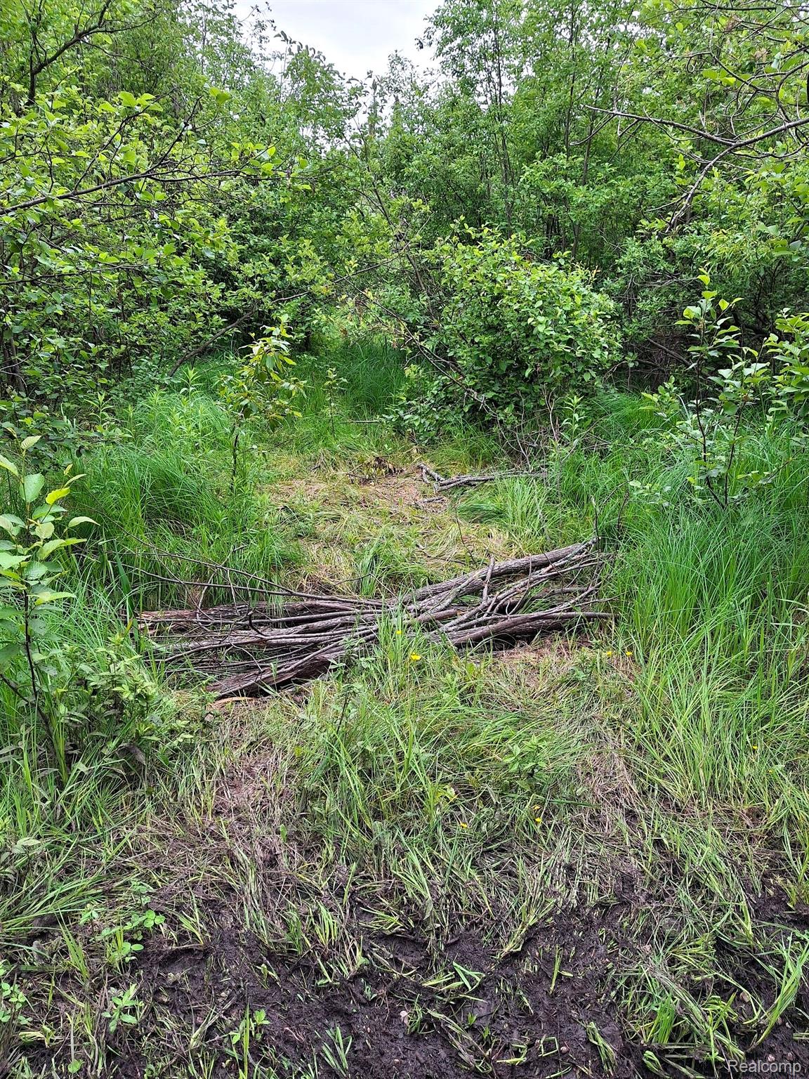 Hulbert Township, Michigan 49748, United States, ,Land,Active,162085