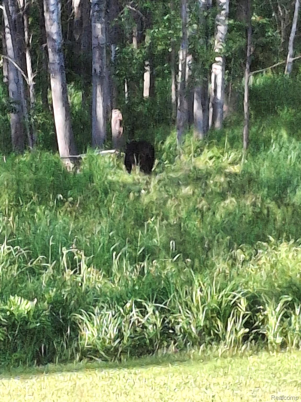 Hulbert Township, Michigan 49748, United States, ,Land,Active,162085