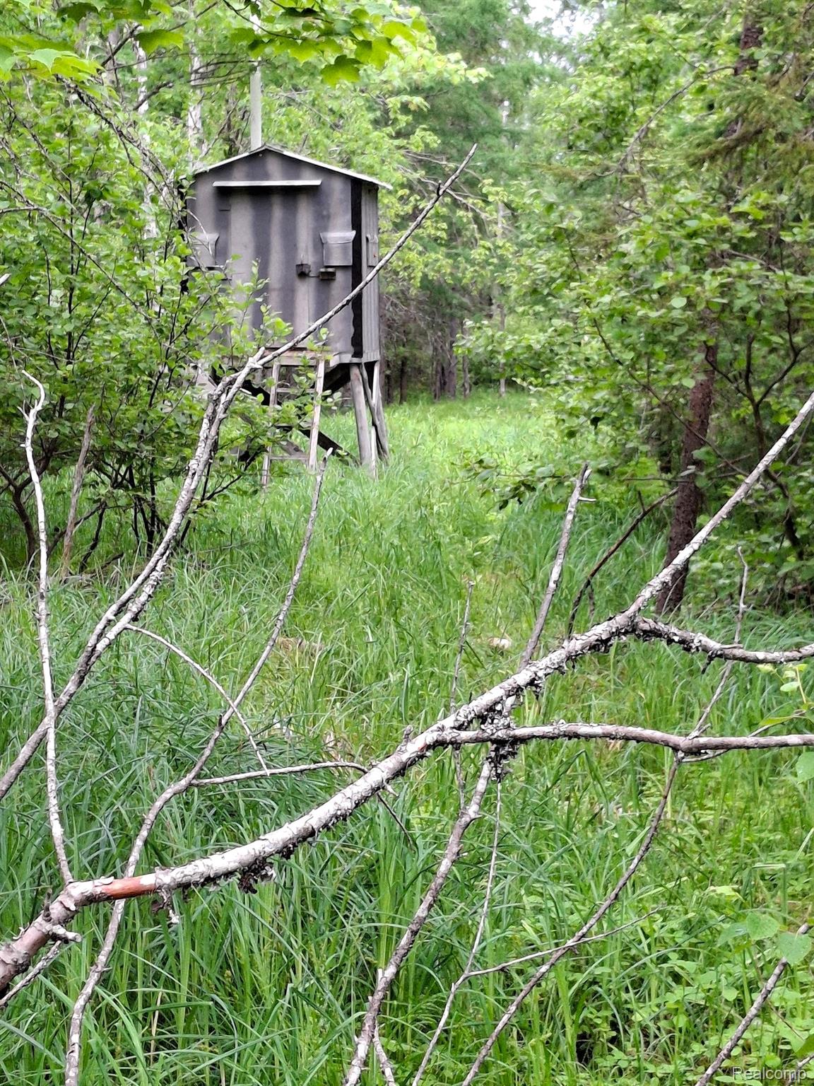 Hulbert Township, Michigan 49748, United States, ,Land,Active,162085