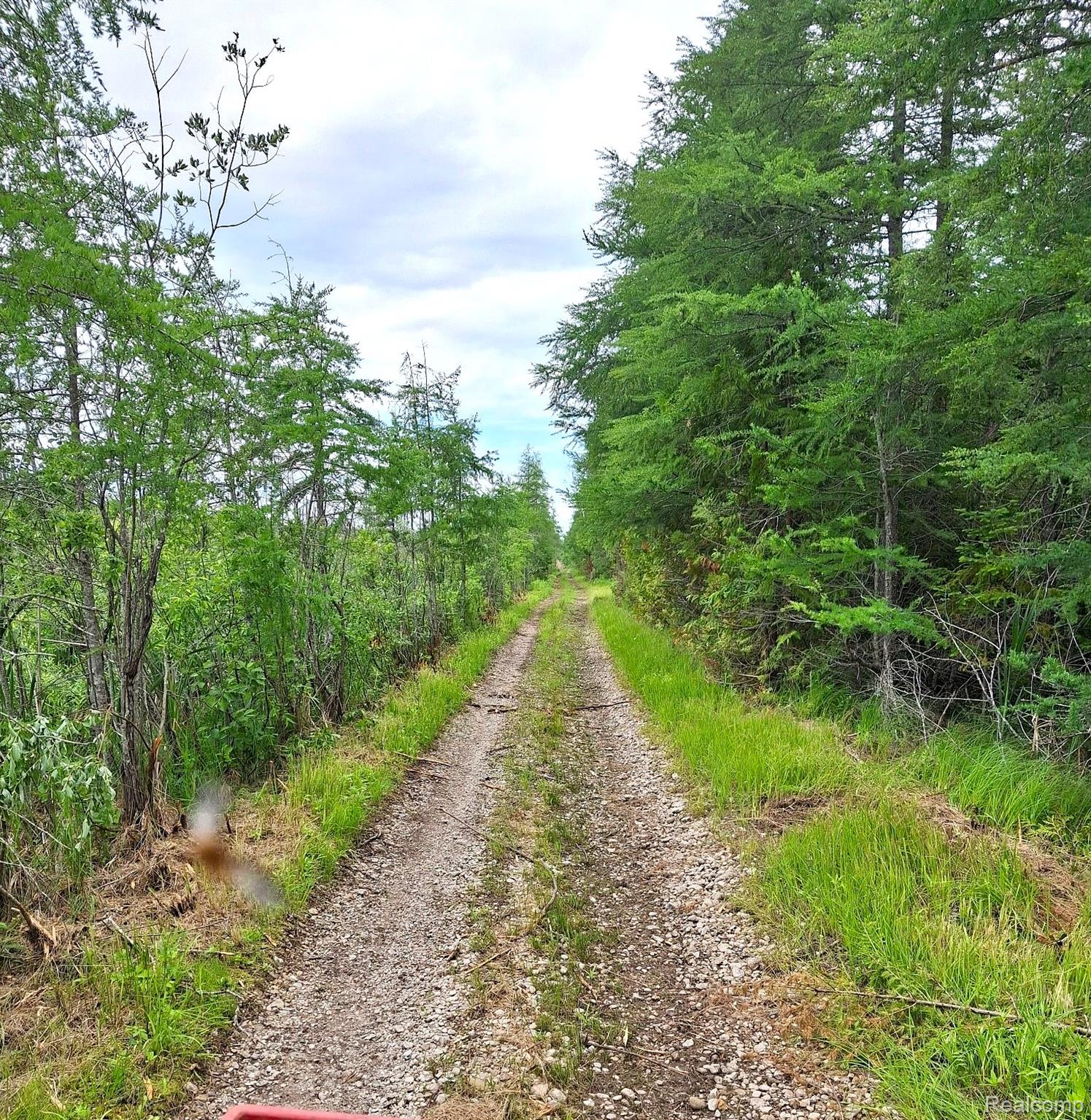 Hulbert Township, Michigan 49748, United States, ,Land,Active,162085