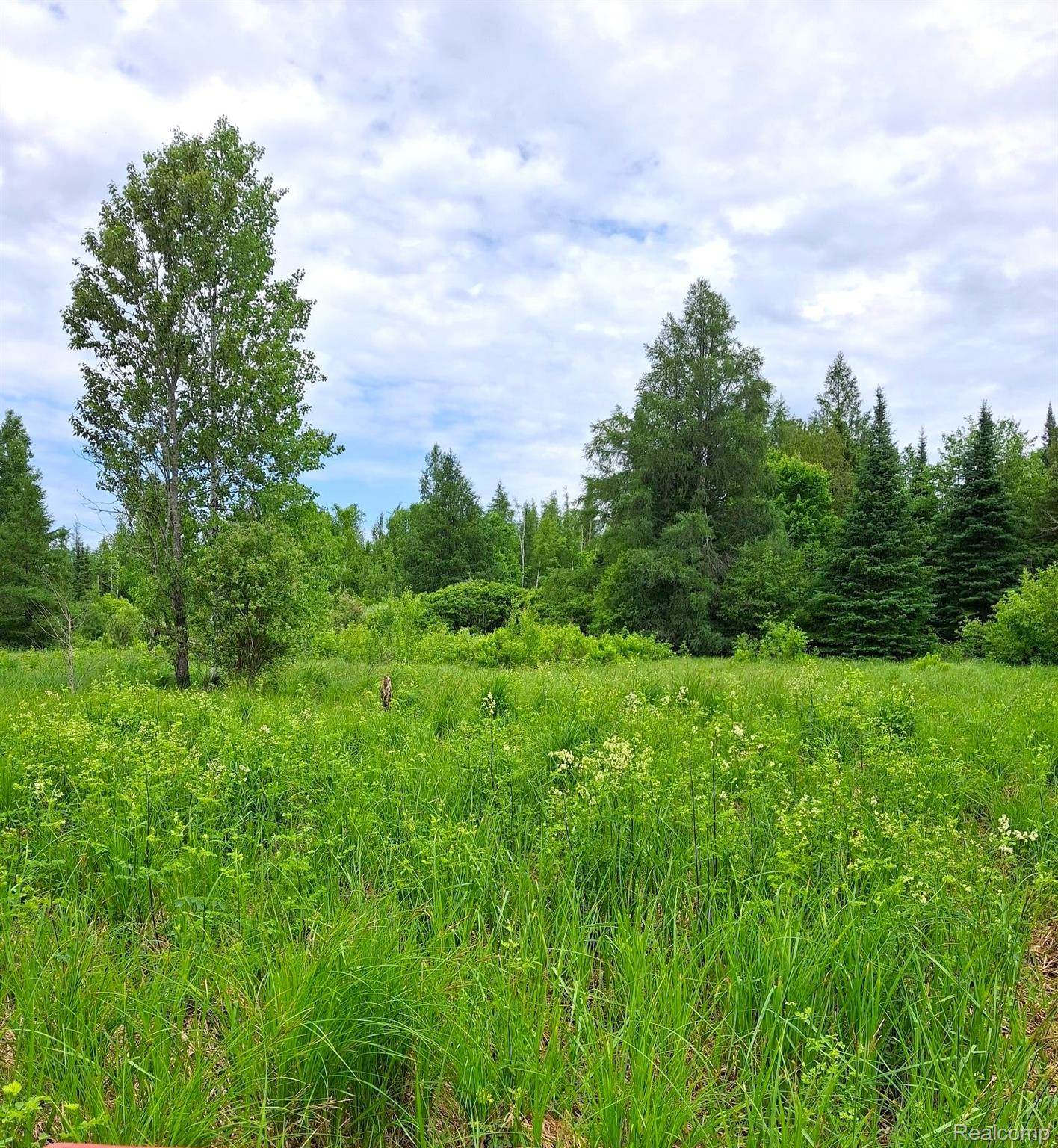Hulbert Township, Michigan 49748, United States, ,Land,Active,162085