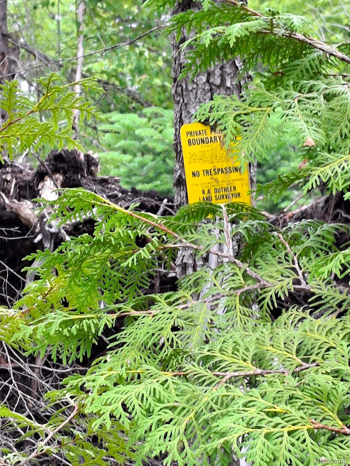 Hulbert Township, Michigan 49748, United States, ,Land,Active,162085