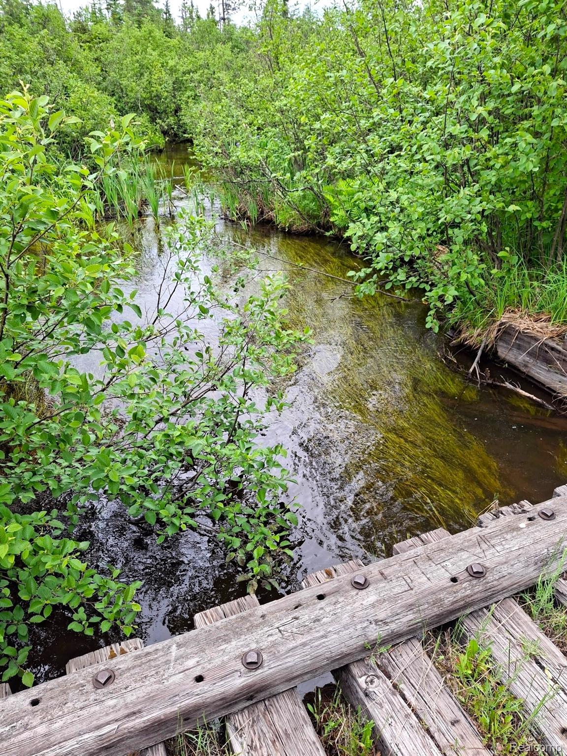 Hulbert Township, Michigan 49748, United States, ,Land,Active,162085