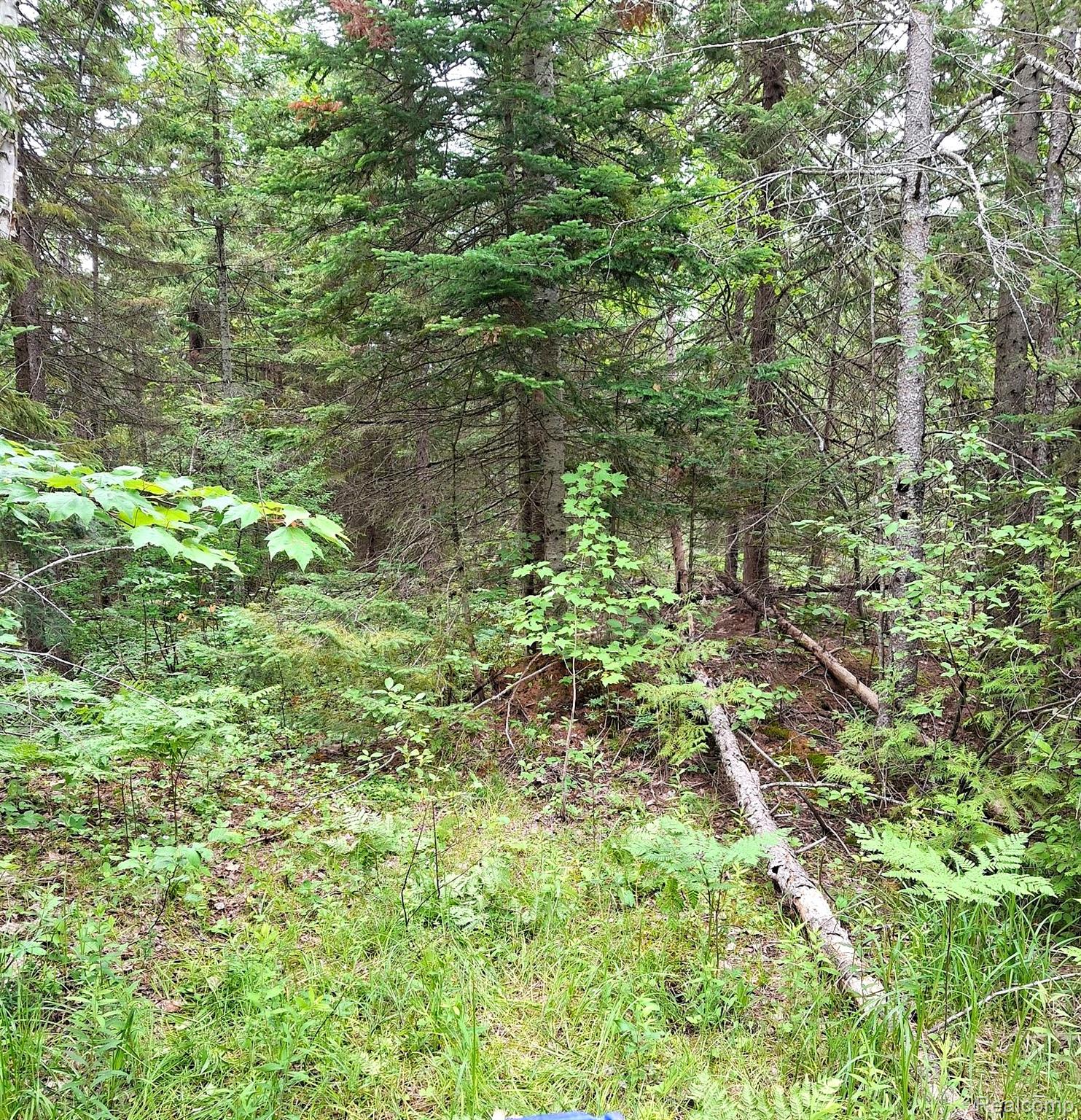 Hulbert Township, Michigan 49748, United States, ,Land,Active,162085