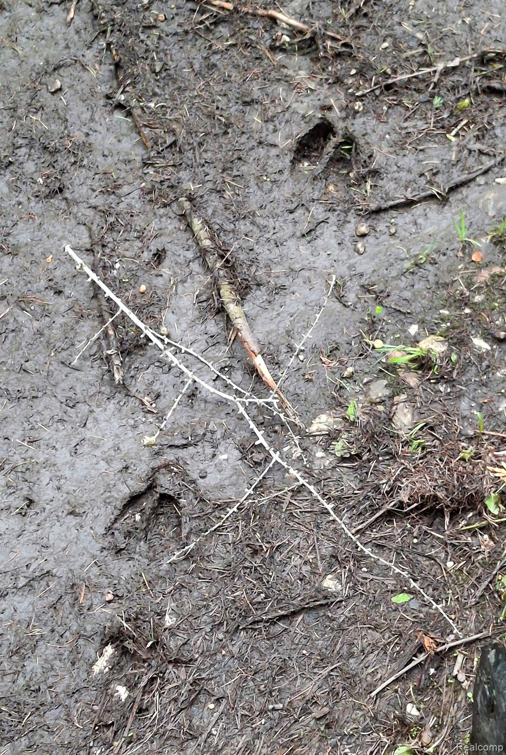 Hulbert Township, Michigan 49748, United States, ,Land,Active,162085