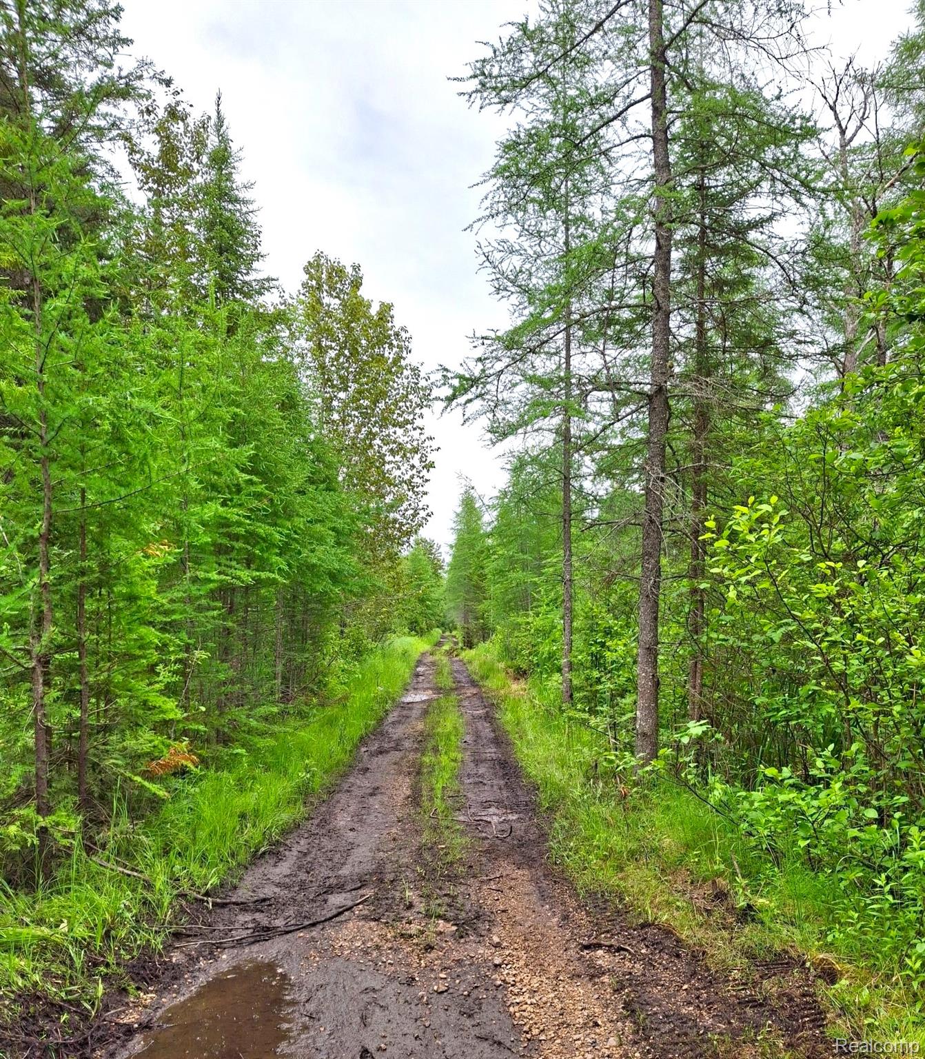 Hulbert Township, Michigan 49748, United States, ,Land,Active,162085