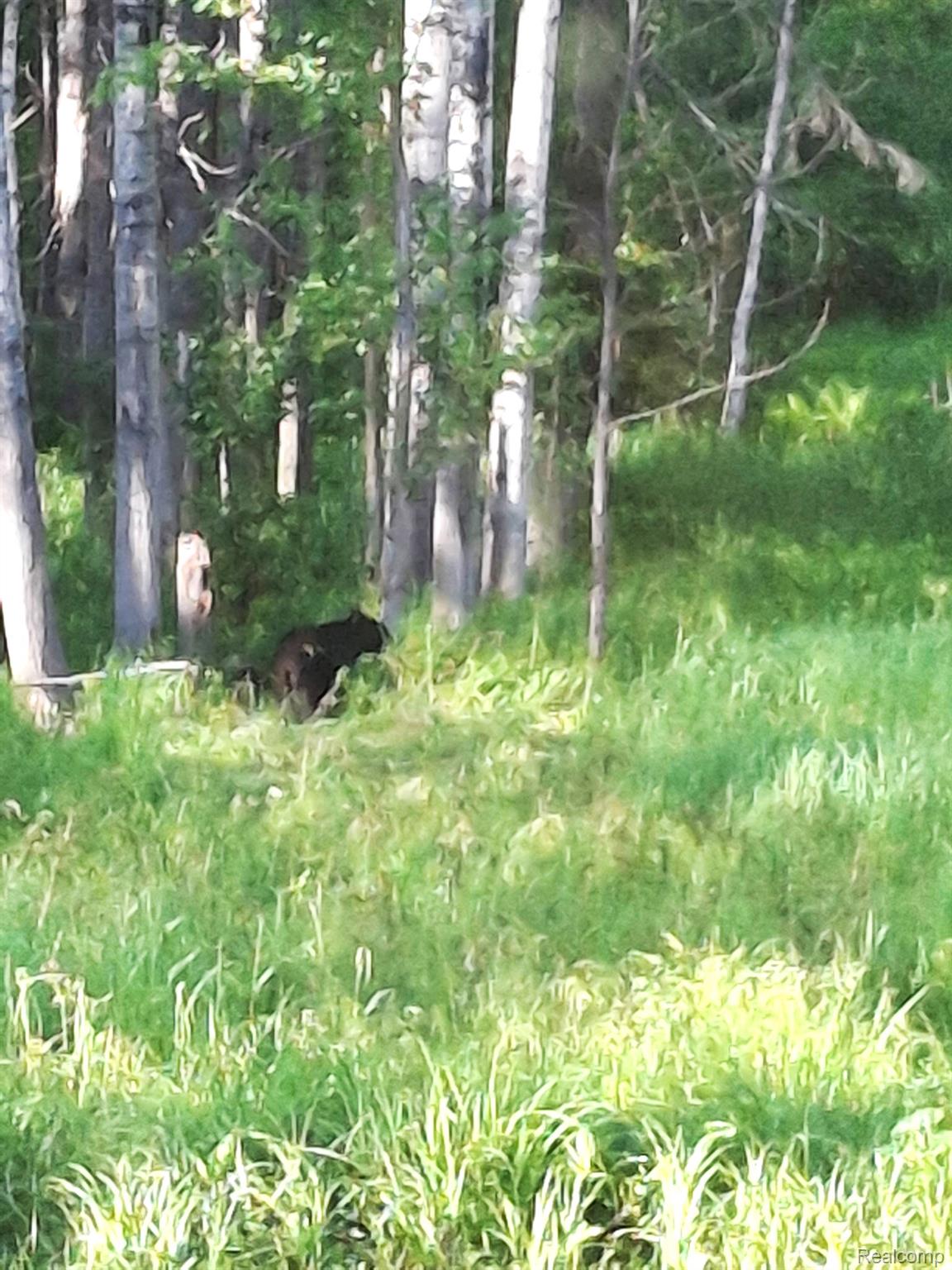 Hulbert Township, Michigan 49748, United States, ,Land,Active,162085