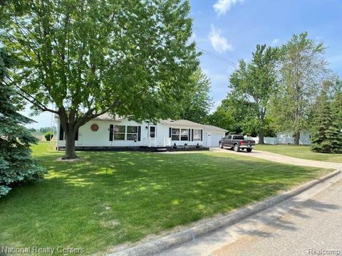 2538 Parrott Street Deckerville Village MI 48427