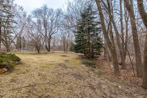 listing image 41
