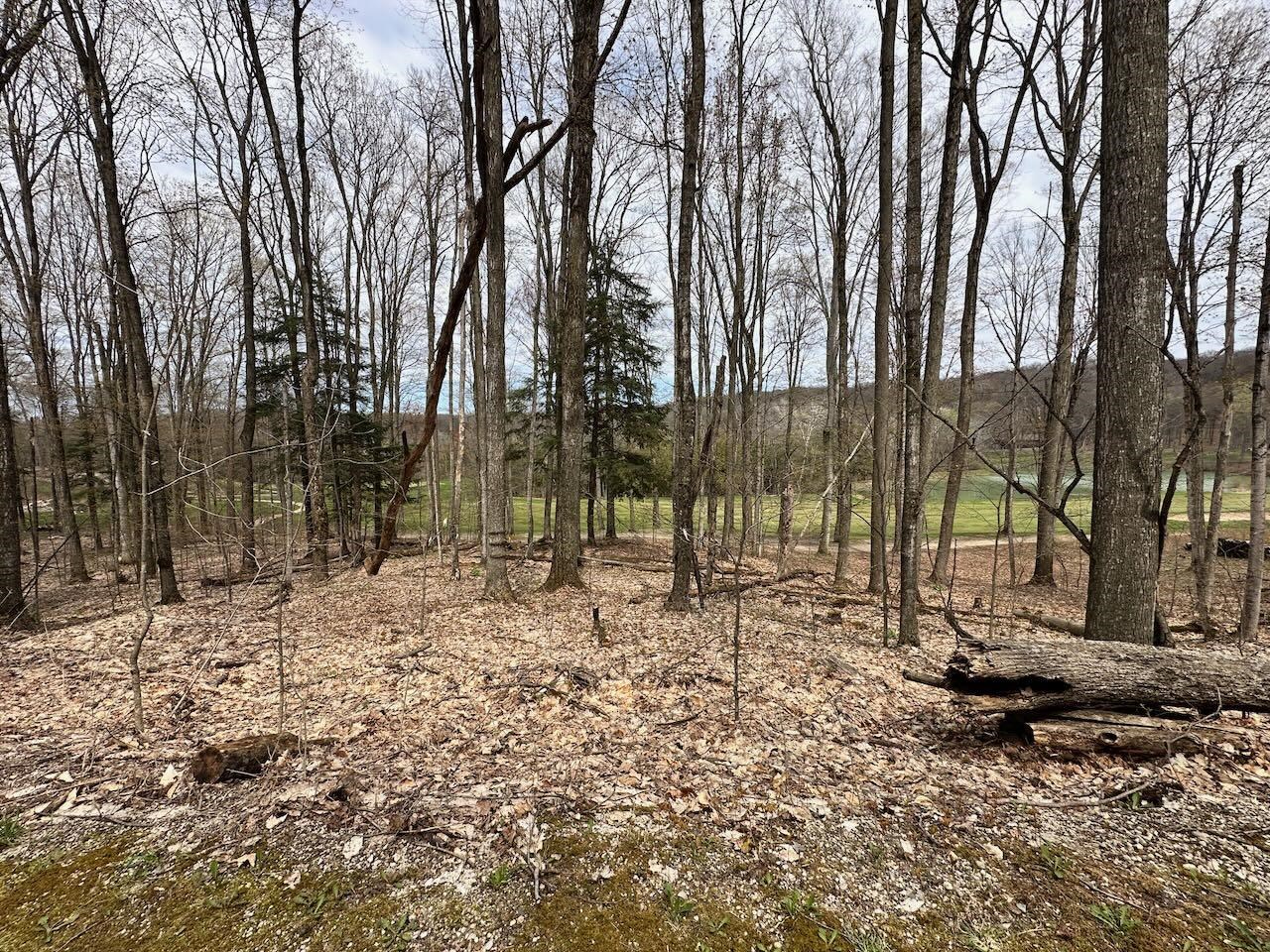 Unit 19 Forest Trail