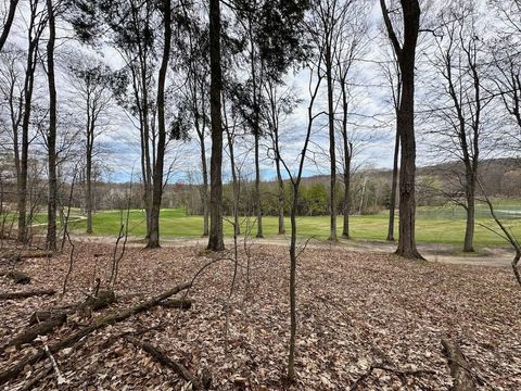Unit 19 Forest Trail Custer Township MI 49615