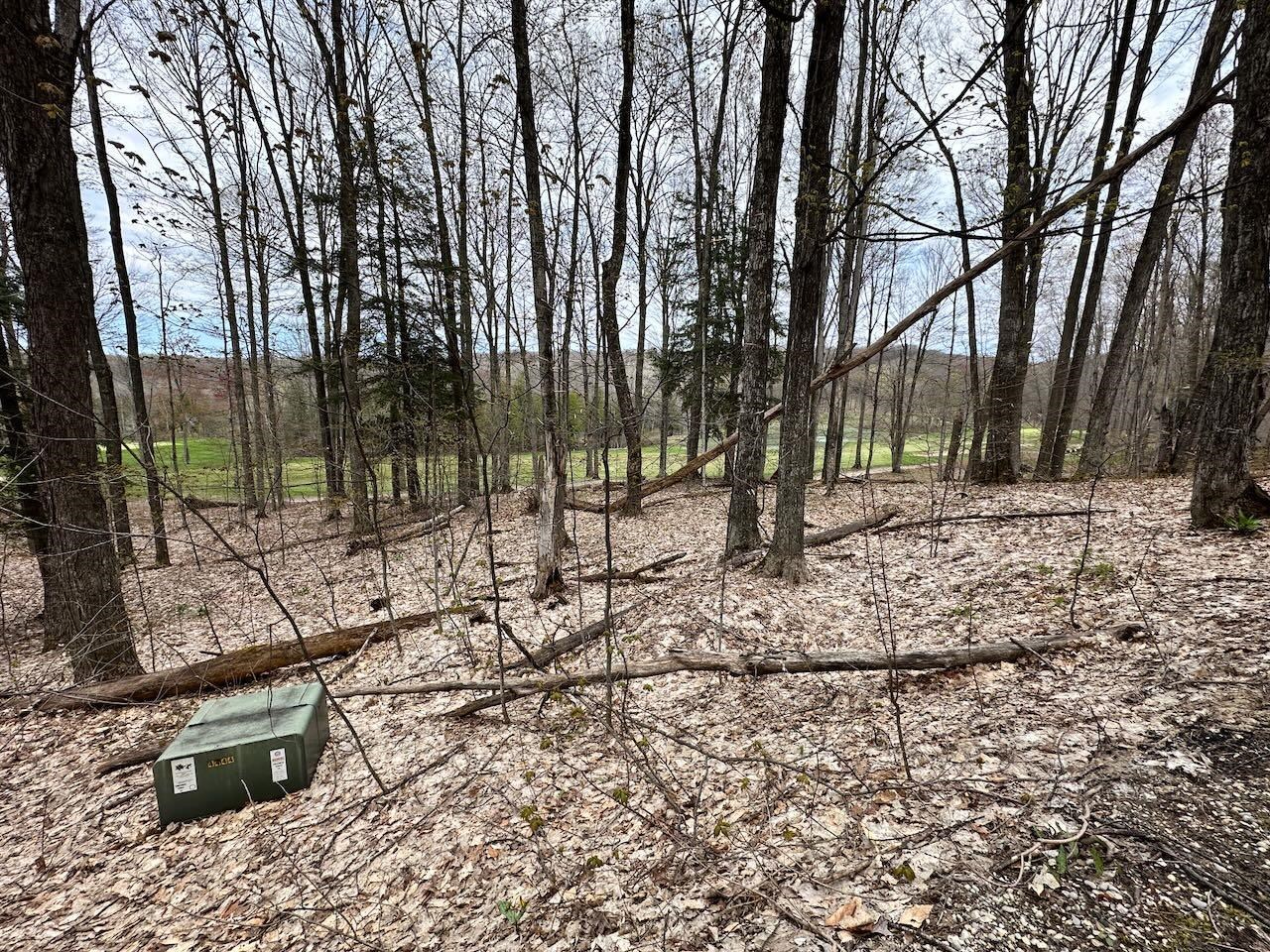 Unit 19 Forest Trail