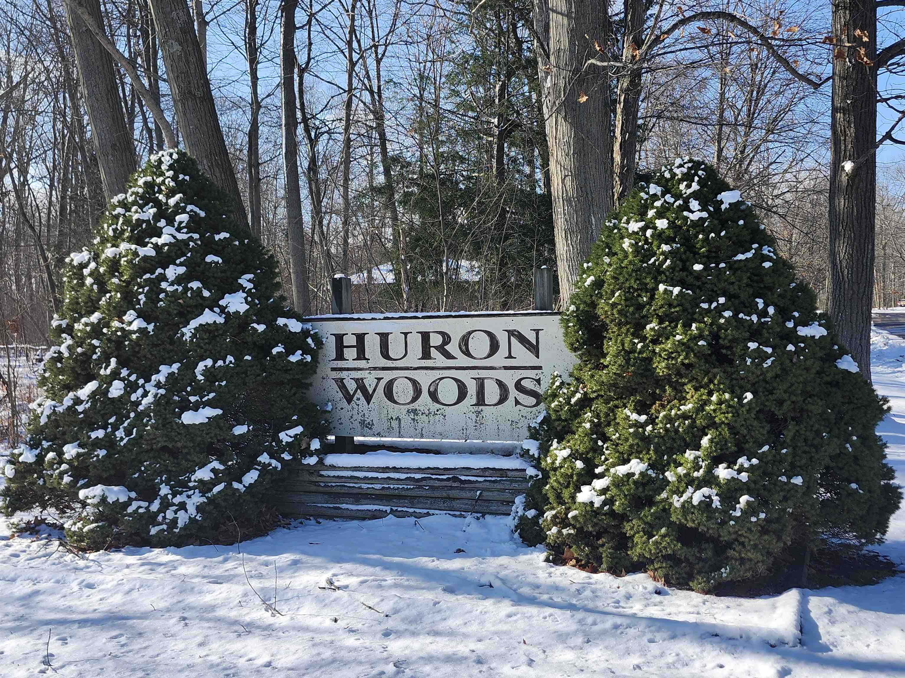 Lots 4, 5, & 6 Huron Woods Drive