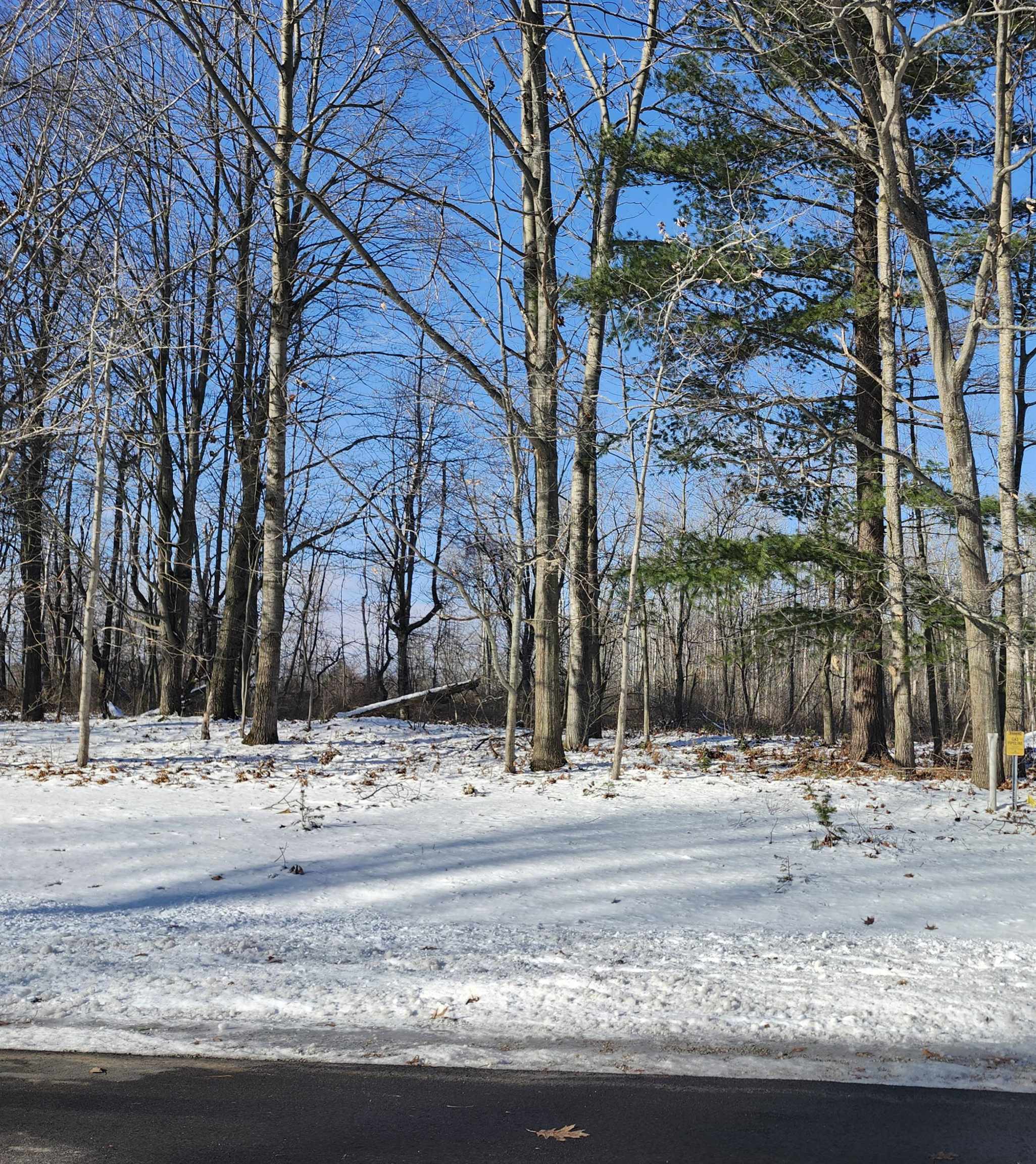 Lots 4, 5, & 6 Huron Woods Drive