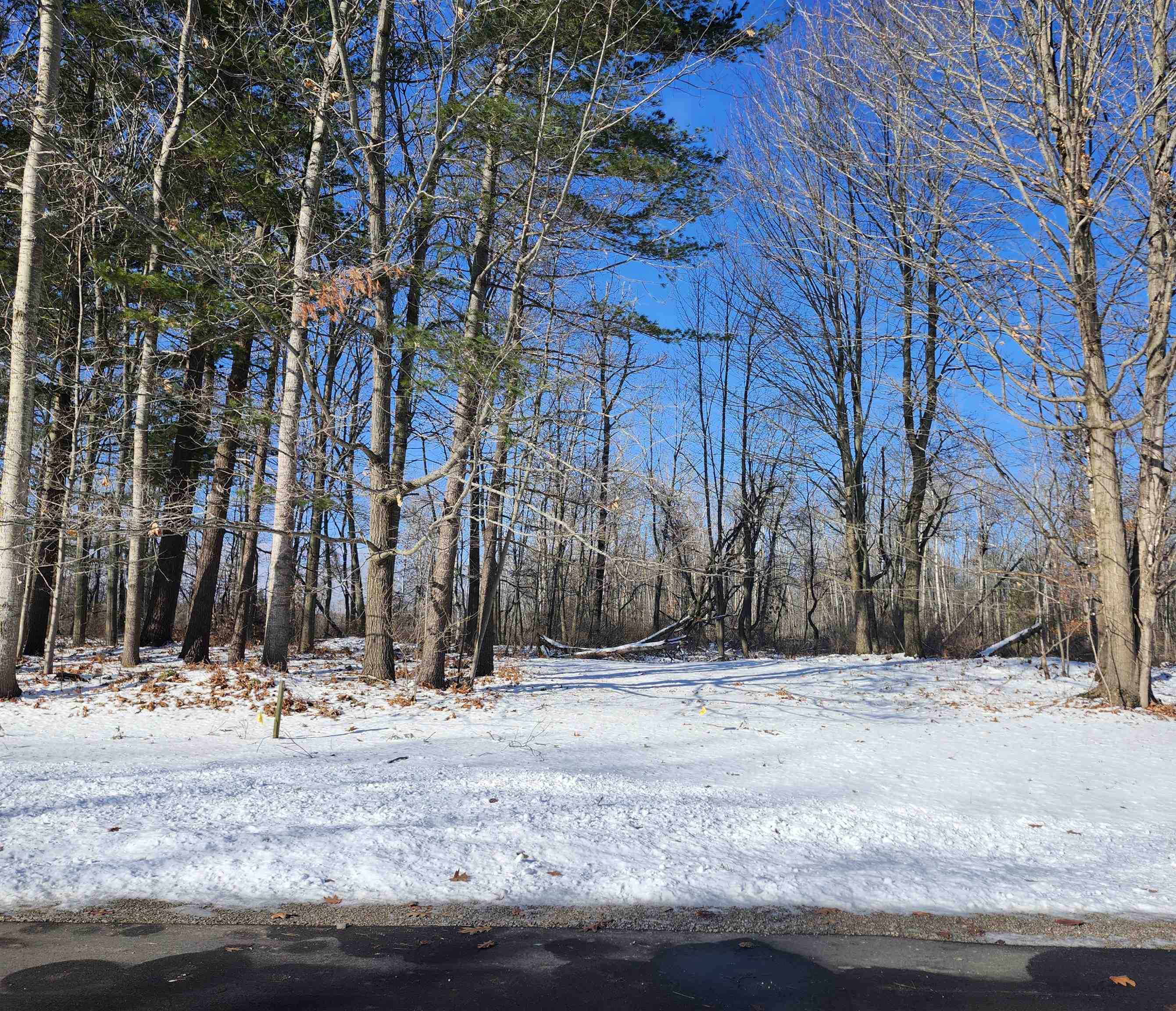 Lots 4, 5, & 6 Huron Woods Drive