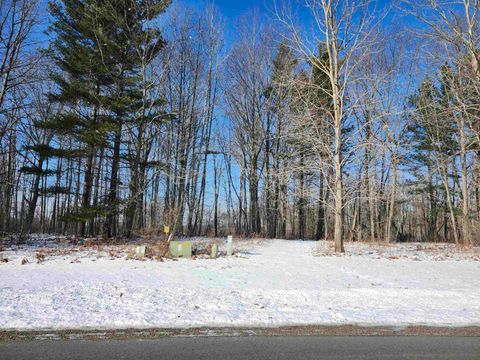 Lots 4, 5, & 6 Huron Woods Drive Whitney Township MI 48763