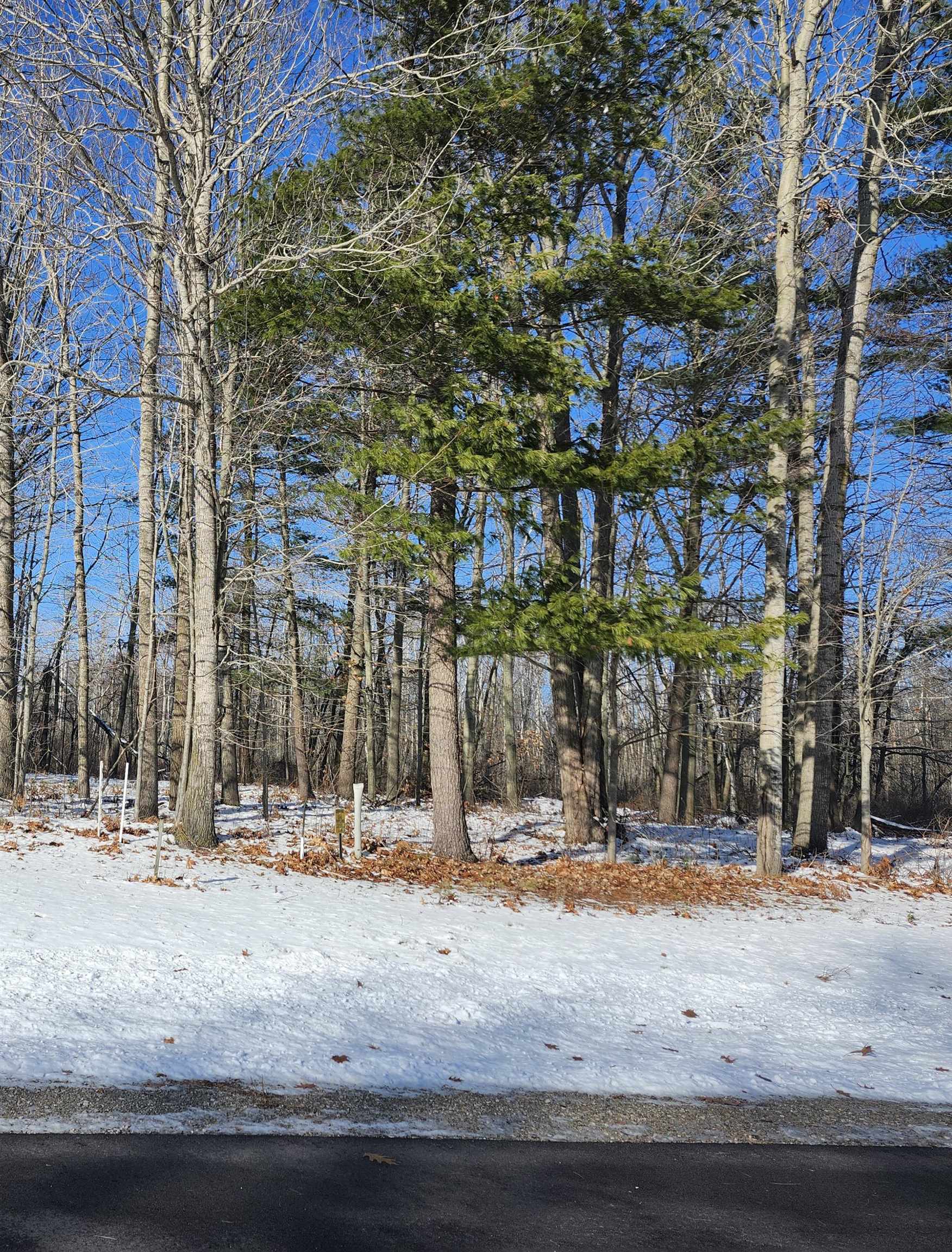 Lots 4, 5, & 6 Huron Woods Drive