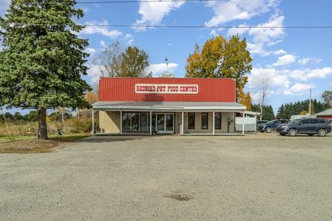 2324 W Monroe Road Pine River Township MI 48801