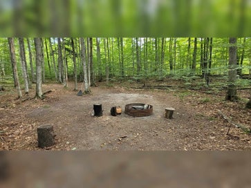 TBD Way Road Clearwater Township MI 49676