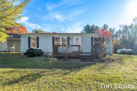 3955 S Holland Road Sidney Township MI 48885