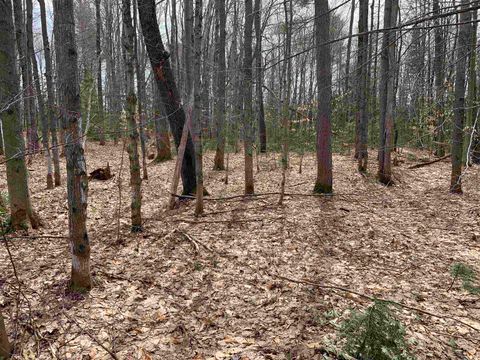 8222 NE Bass Avenue Coldsprings Township MI 49646
