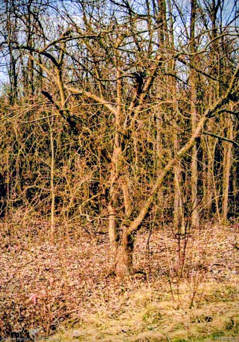 5931 N Territorial Road E Salem Township MI 48105