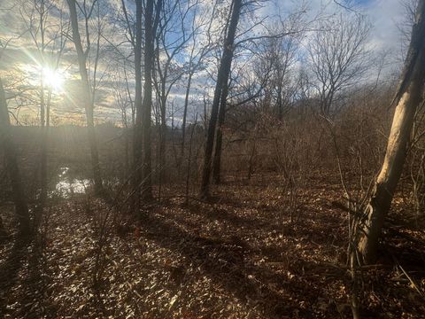 000 DAYMON Road Unadilla Township MI 48137