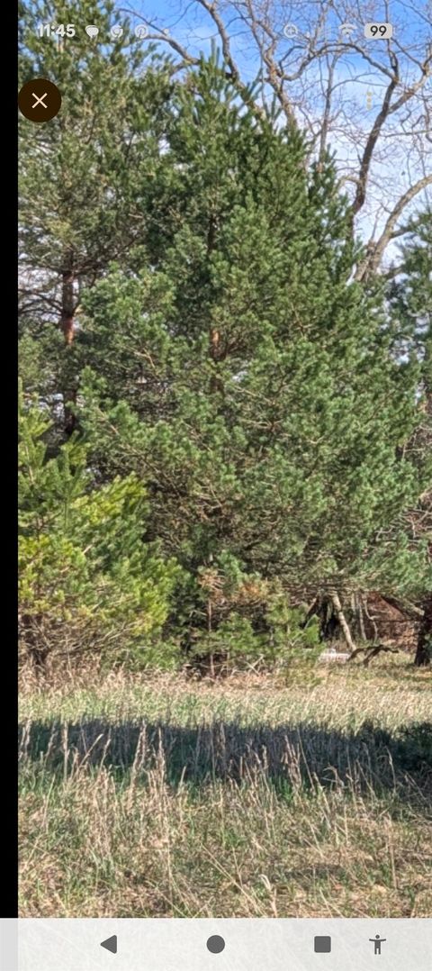 1003 Kent Street Broomfield Township MI 48893