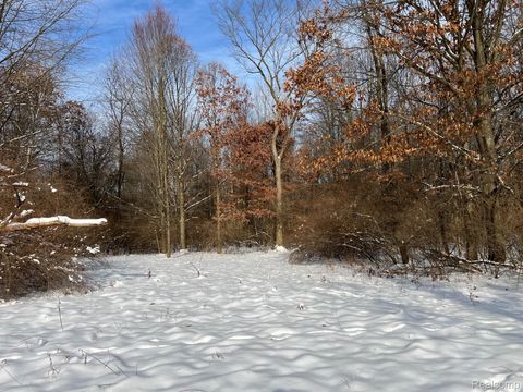 10.10 ACRES Laur Deerfield Township MI 48461