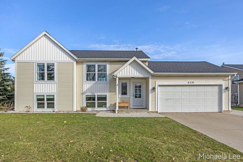 429 Plum Street Allegan Township MI 49348