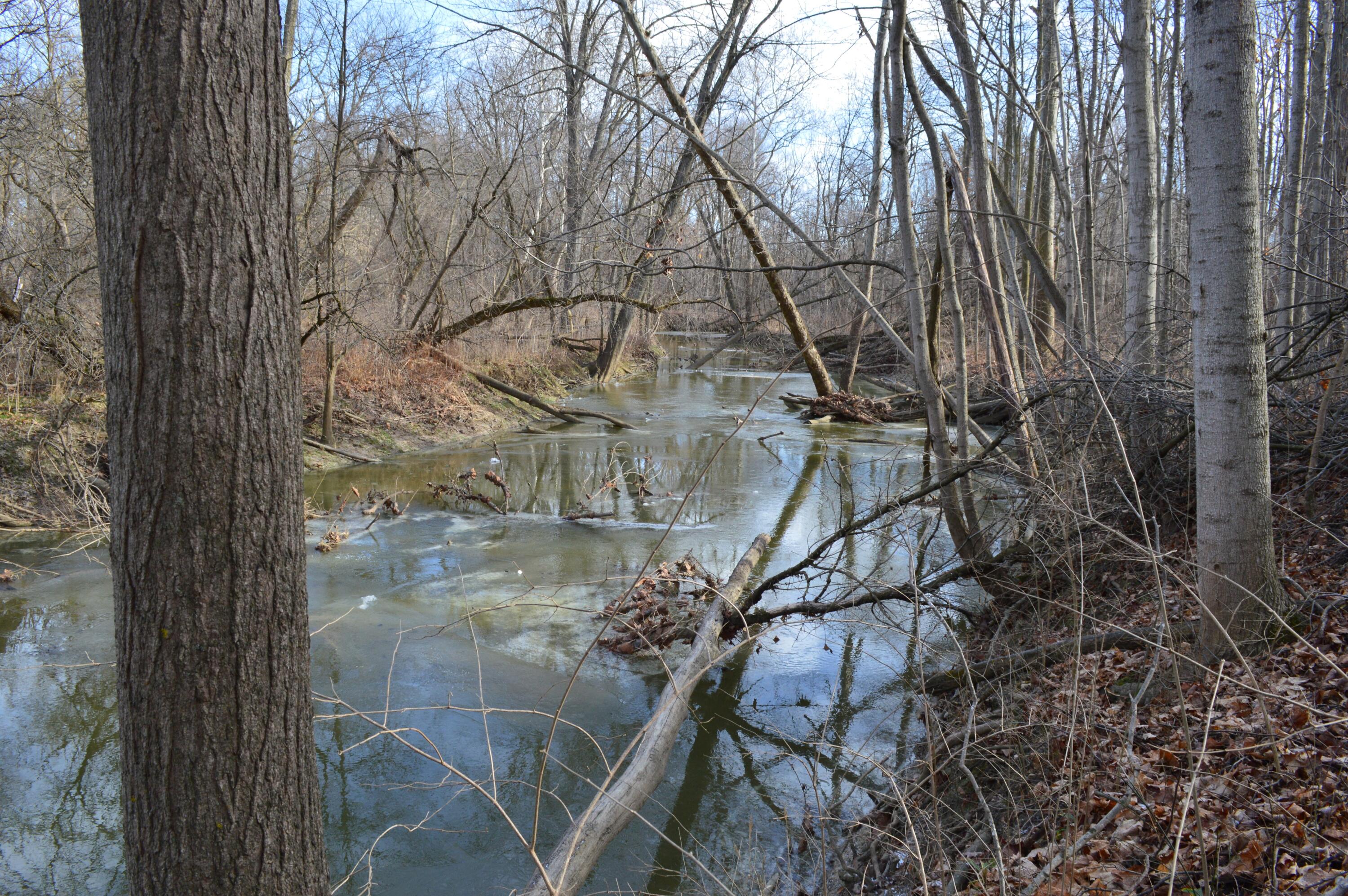 1606 Mooreville Road