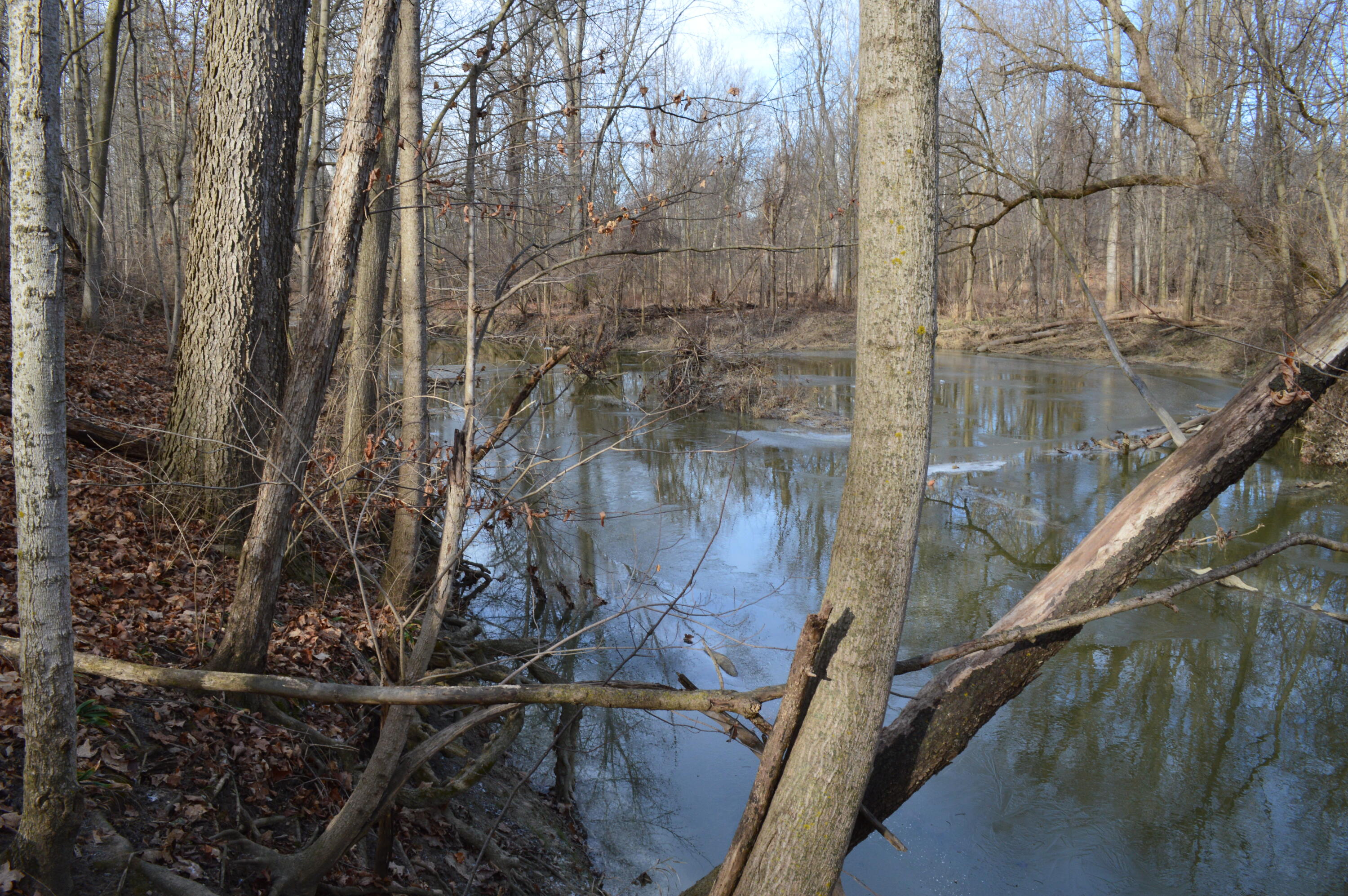 1606 Mooreville Road