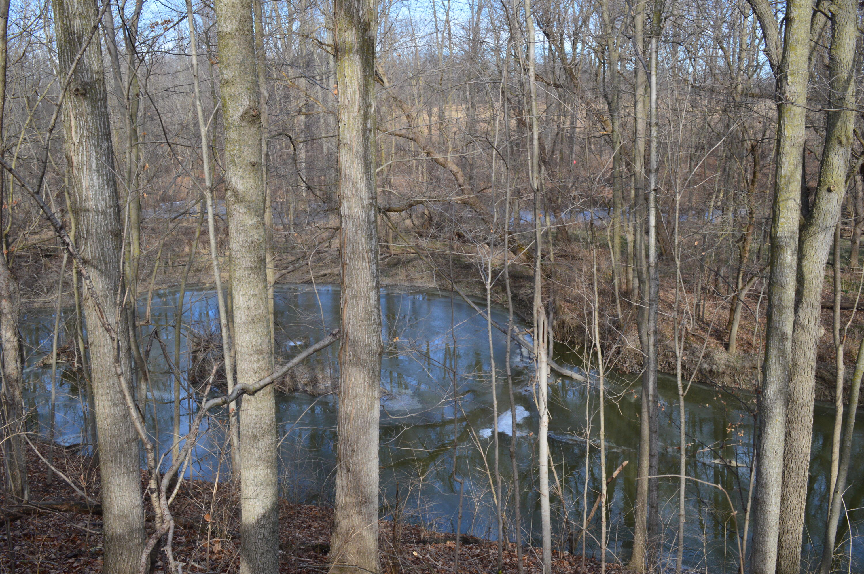 1606 Mooreville Road